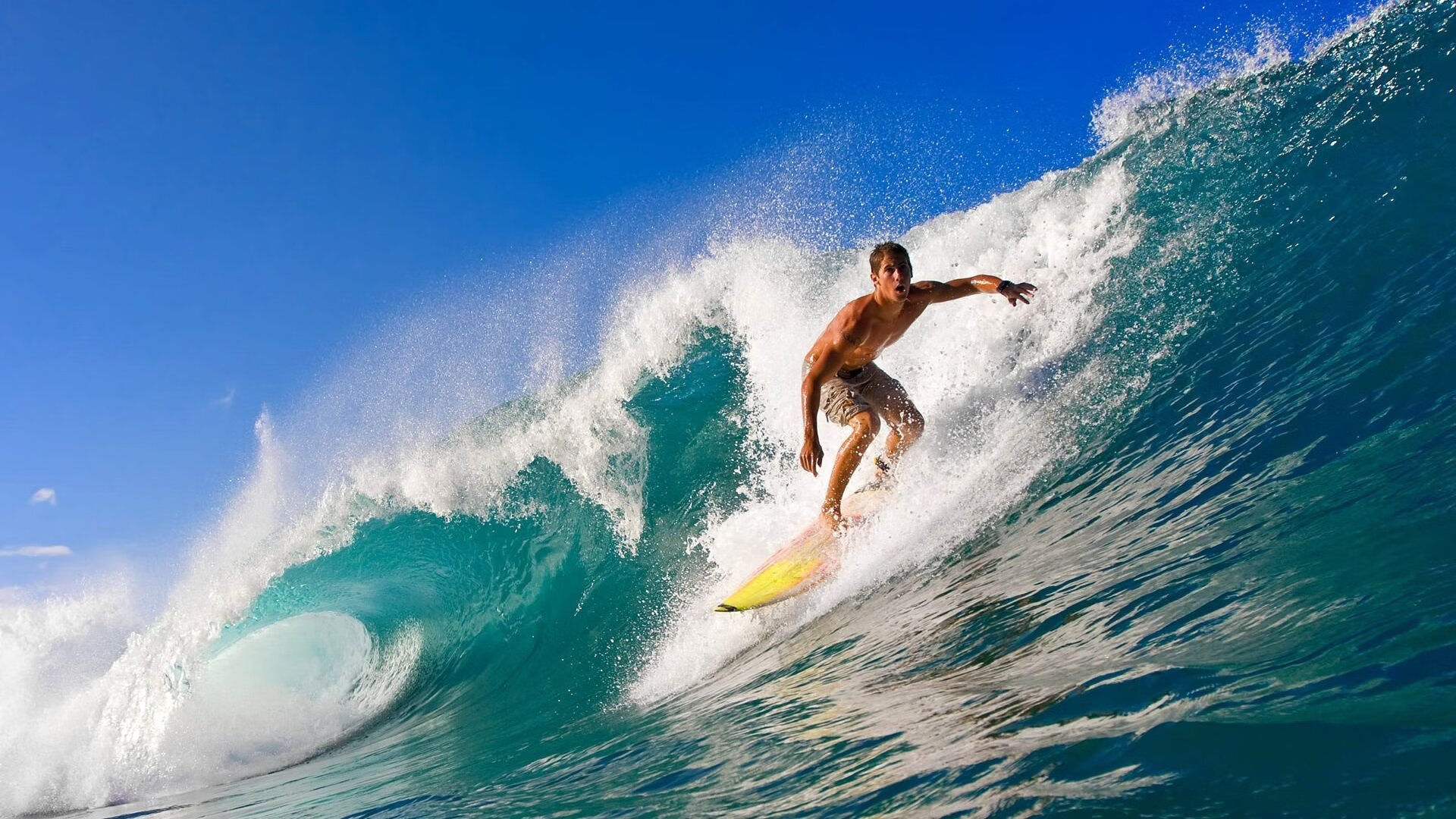 _宾馆体育节：健身娱乐新体验_，酒店健身房开放时间